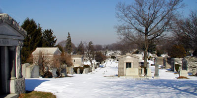 Cemetery Photos